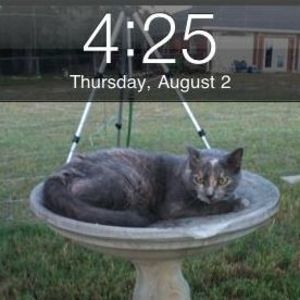 Meet your Posher, Norma